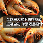 全球最大水下盾构隧道掘进启动 单洞双层设计如何提升交通效率(图2) 全球最大水下盾构隧道掘进启动 单洞双层设计如何提升交通效率(图2)
