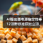 AI服务器电源稳定性等12项新标准获批立项,解读关键内容(图2) AI服务器电源稳定性等12项新标准获批立项,解读关键内容(图2)