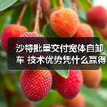 沙特批量交付宽体自卸车 技术优势凭什么赢得海外订单？（图2）