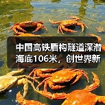 中国高铁盾构隧道深潜海底106米，创世界新纪录（图2）