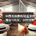 中国高铁盾构隧道深潜海底106米，创世界新纪录（图4）
