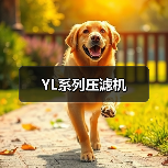 YL系列压滤机(图4) YL系列压滤机(图4)