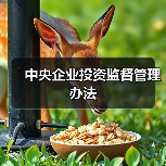 中央企业投资监督管理办法(图1) 中央企业投资监督管理办法(图1)
