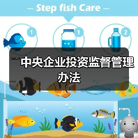 中央企业投资监督管理办法(图4) 中央企业投资监督管理办法(图4)