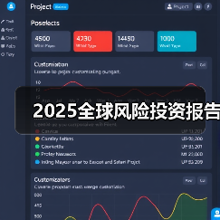 2025全球风险投资报告（图3）
