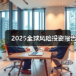 2025全球风险投资报告（图4）