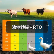 浓缩转轮+RTO(图2) 浓缩转轮+RTO(图2)