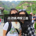 高效脉冲除尘器（图1）