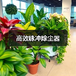 高效脉冲除尘器（图2）
