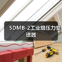 SDMB-2工业级压力变送器（图1）