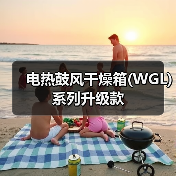 电热鼓风干燥箱(WGL)系列升级款(图1) 电热鼓风干燥箱(WGL)系列升级款(图1)