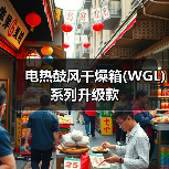 电热鼓风干燥箱(WGL)系列升级款(图3) 电热鼓风干燥箱(WGL)系列升级款(图3)