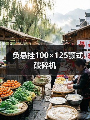 负悬挂100×125颚式破碎机(图3) 负悬挂100×125颚式破碎机(图3)