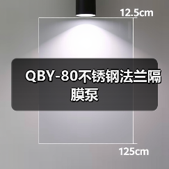 QBY-80不锈钢法兰隔膜泵(图1) QBY-80不锈钢法兰隔膜泵(图1)