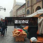 退出协议(图4) 退出协议(图4)