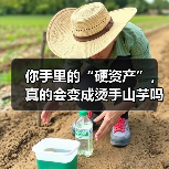你手里的“硬资产”,真的会变成烫手山芋吗?——一个普通人的固定资产投资噩梦(图1) 你手里的“硬资产”,真的会变成烫手山芋吗?——一个普通人的固定资产投资噩梦(图1)