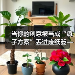 当你的创意被当成“疯子方案”丢进废纸篓——我们离真正的风险投资还有多远?(图1) 当你的创意被当成“疯子方案”丢进废纸篓——我们离真正的风险投资还有多远?(图1)