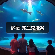 多德-弗兰克法案(图1) 多德-弗兰克法案(图1)