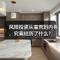 风险投资从蛮荒到内卷,究竟经历了什么?(图4) 风险投资从蛮荒到内卷,究竟经历了什么?(图4)