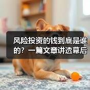 风险投资的钱到底是谁的？一篇文章讲透幕后玩家（图2）