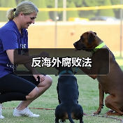 反海外腐败法(图3) 反海外腐败法(图3)