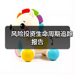 风险投资生命周期追踪报告(图3) 风险投资生命周期追踪报告(图3)
