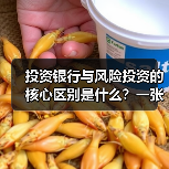 投资银行与风险投资的核心区别是什么？一张生命周期与风险配比图讲透（图1）