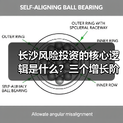长沙风险投资的核心逻辑是什么?三个增长阶段讲清楚(图2) 长沙风险投资的核心逻辑是什么?三个增长阶段讲清楚(图2)