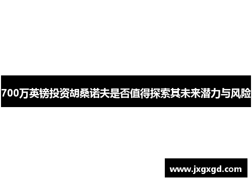 700万英镑投资胡桑诺夫是否值得探索其未来潜力与风险