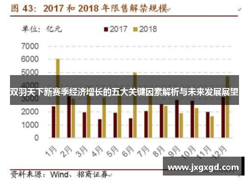 双羽天下新赛季经济增长的五大关键因素解析与未来发展展望